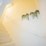 Magnificent Two Bedroom - Sd23m Eindhoven